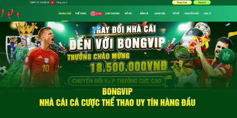 Nhà cái thể thao Bongvip