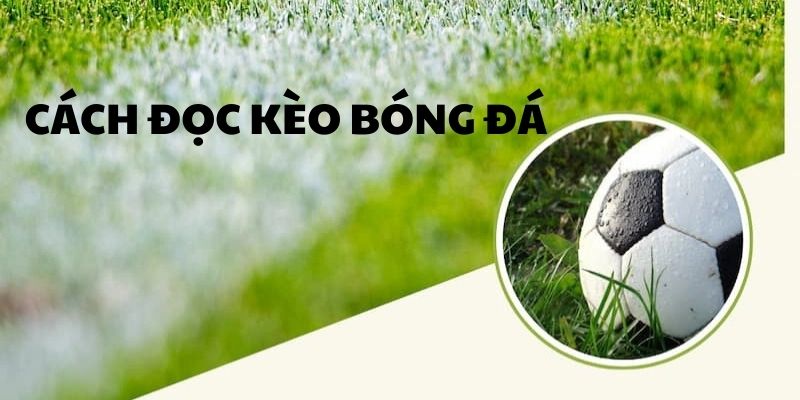 Biểu đồ minh họa kèo Châu Á trong cá cược bóng đá