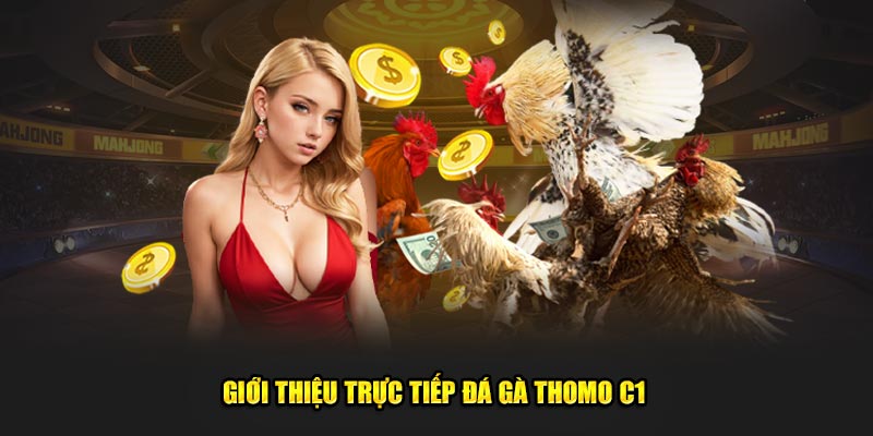 gioi thieu truc tiep da ga thomo c1