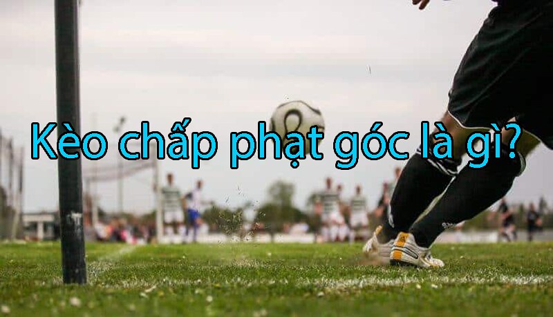 Biểu đồ phân loại kèo phạt góc Over/Under và Odd/Even