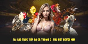 tai sao truc tiep da ga thomo c1 thu hut nguoi xem