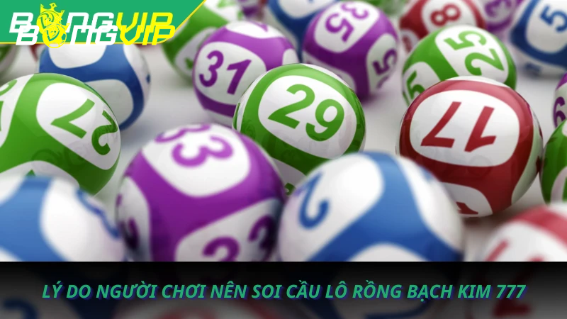 Lý do người chơi nên soi cầu lô Rồng Bạch Kim 777