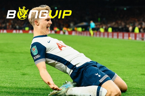 Tottenham quyết tâm ở FA Cup (Nguồn: Internet)