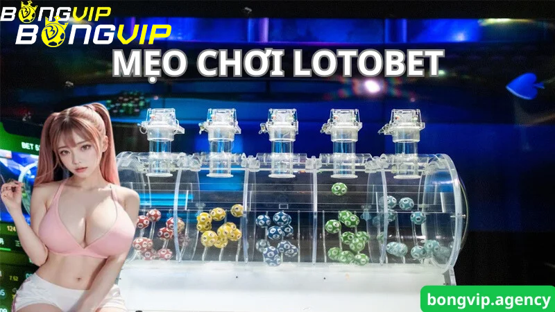 Mẹo cá cược Lotobet là gì