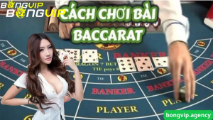 processed meo choi bai baccarat 2