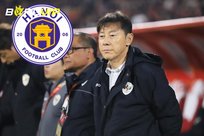 Hà Nội FC phủ nhận tin đồn chiêu mộ HLV Shin Tae Yong